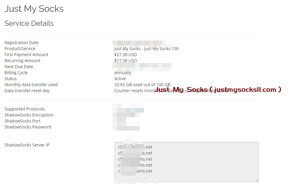 Just My Socks使用教程：连接信息查看